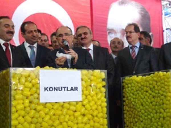 Van'da Son Kuralar Çekildi