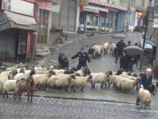 Kurban Satıcıları Umduğunu Bulamadı