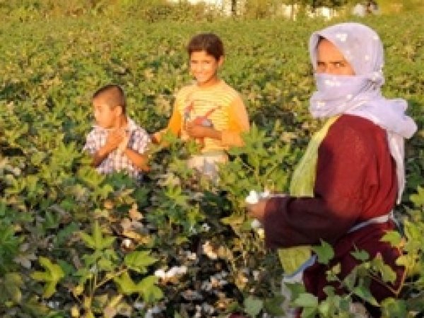 Mevsimlik İşçilerin Karşı Karşıya Kaldığı Tehlike