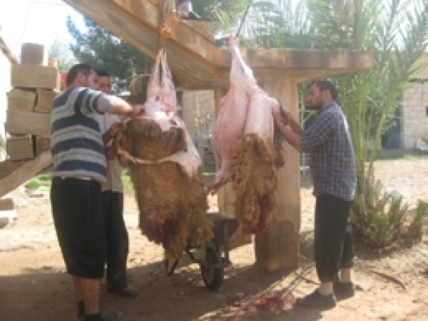 Akçakale Yar Der'den Kurban Eti Yardımı