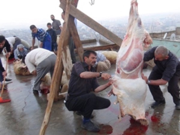 Siirt'te 530 Aileye Kurban Eti Yardımı 