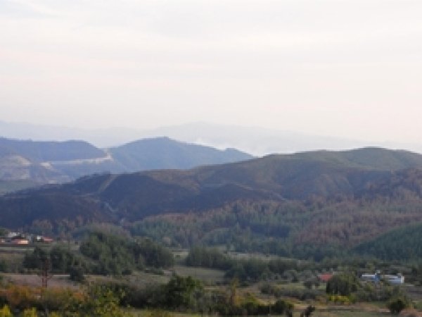  Sınırda Yangın