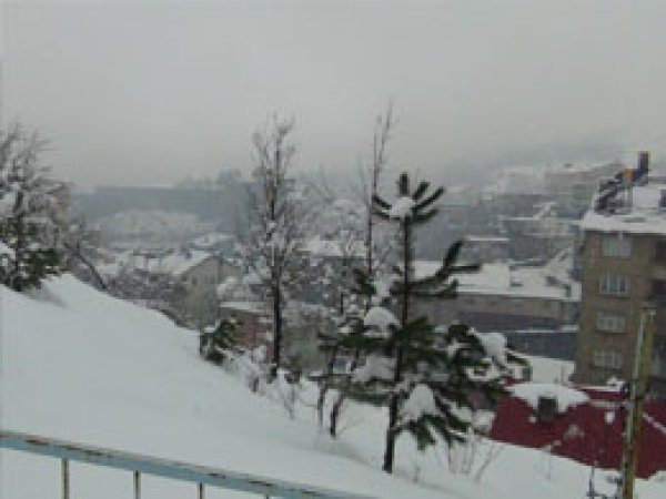 Bitlis'te Kar Hayatı Olumsuz Etkiliyor