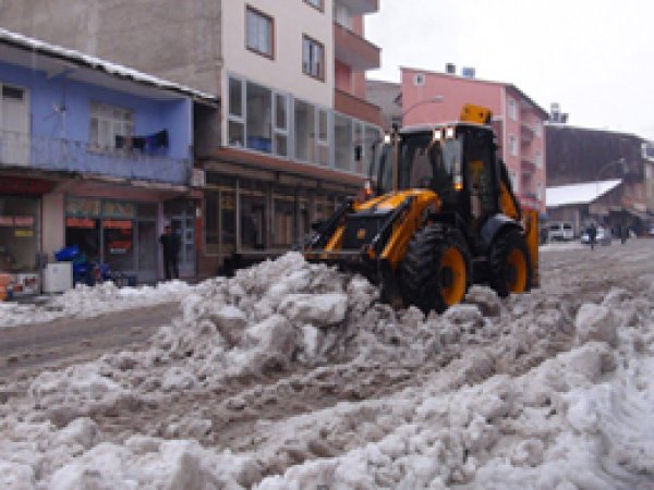 Muş'ta Kış Şartları Hayatı Olumsuz Etkiliyor