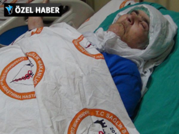 Şerife Ana'nın Yürek Yakan Dramı Ezgileşti