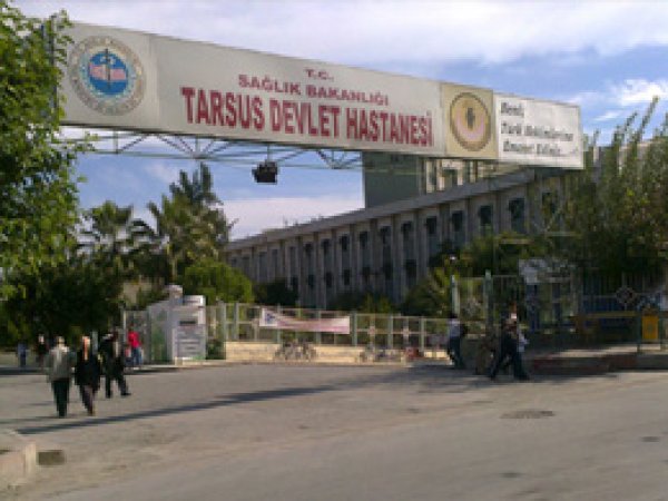 Asma Budarken Damdan Düştü