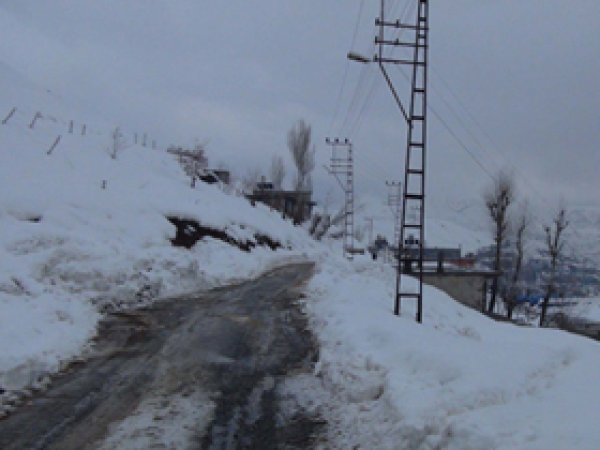 Bitlis'te 19 Köy Yolu Ulaşıma Kapalı
