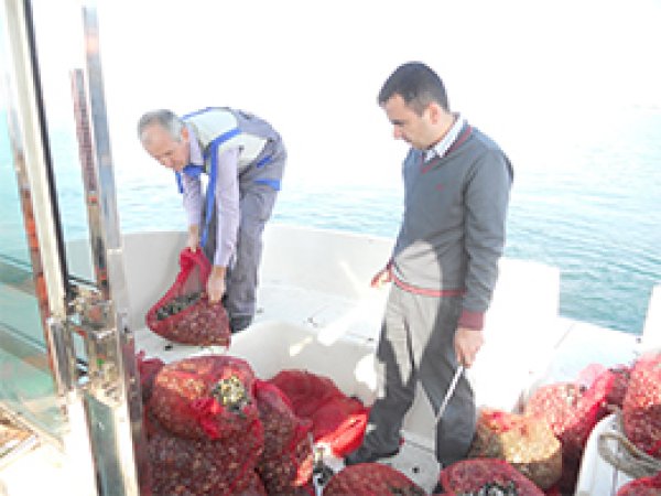 2 Ton Akivadese El Konuldu