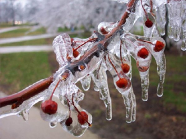 Meteorolojiden Buzlanma ve Don Uyarısı