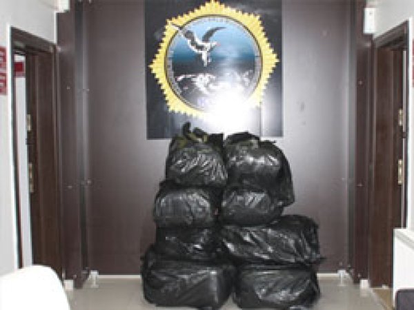 Bingöl'de 126 Kilo Esrar Ele Geçirildi