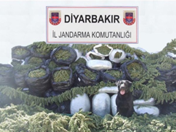 Diyarbakır'da Esrar Operasyonu 
