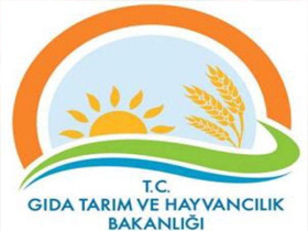 Sucuğa Dışarıdan Katkı Maddeleri Eklemek Yasak