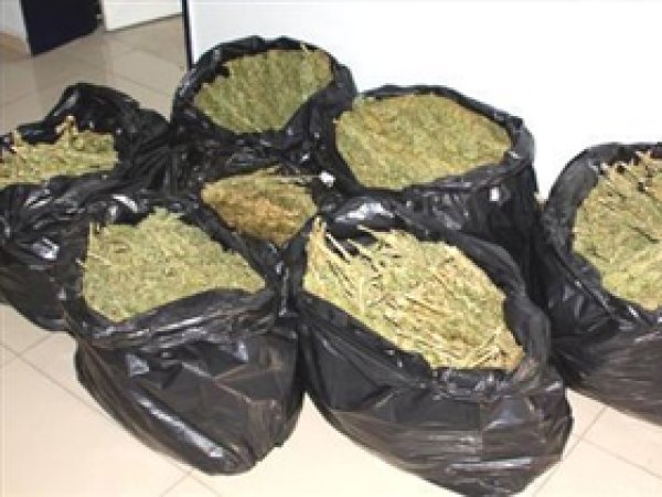Adana'da 96 Kilo Esrar Ele Geçirildi