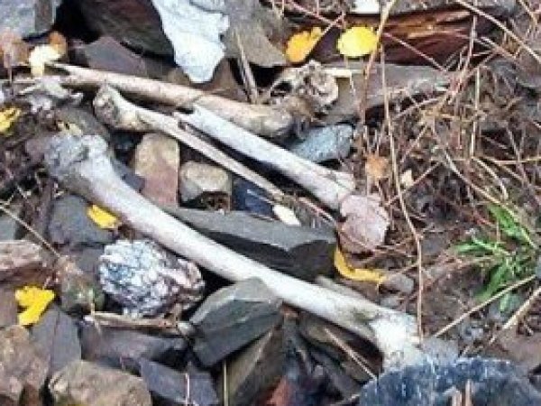 Kulp'ta Kemikleri Bulunan 11 Köylüyle İlgili Soruşturma