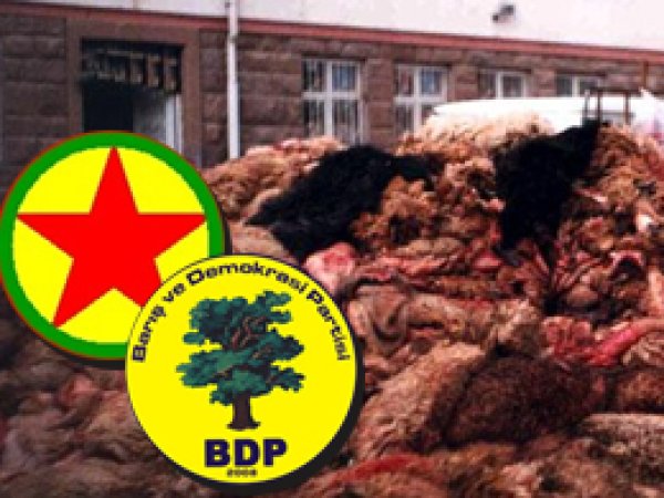 Deride BDP/PKK Tekeli Başladı