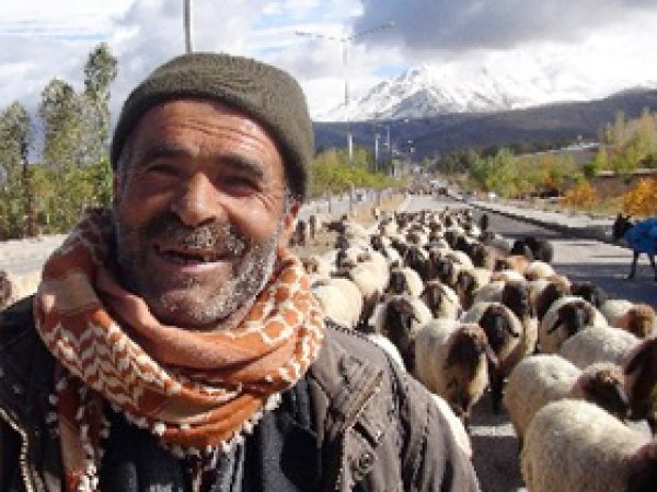 Göçebeler Sıcak Bölgelere Doğru Gidiyor 