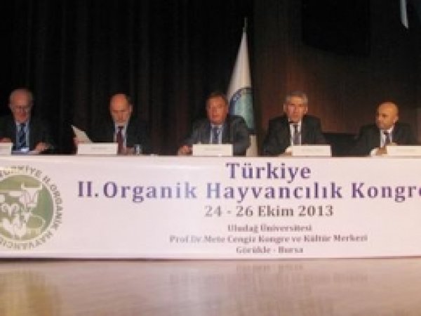 "İnsanoğlu Modern Çağda Kendini Yok Ediyor" 