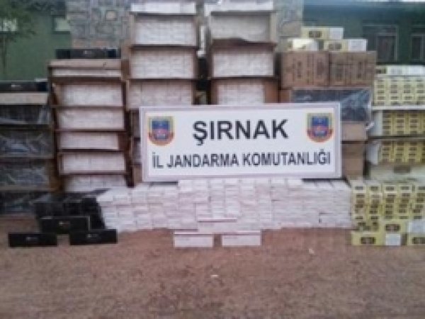 Şırnak'ta Kaçak Sigara Ele Geçirildi 