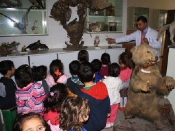 Minik Öğrenciler Zooloji Laboratuvarını Gezdi  