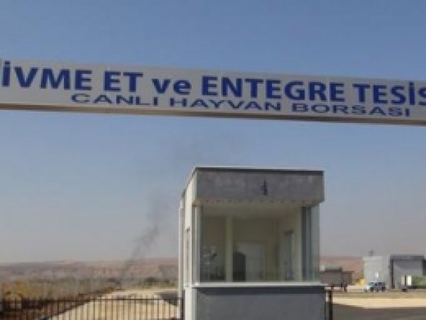 Kaçak Kesim Yüzünden Tesis Kapanıyor 