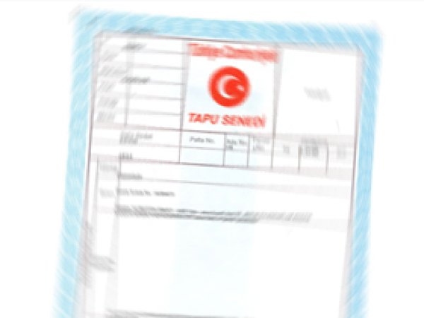 Tapuda E-TERKİN Dönemi  
