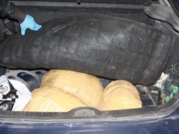 Bingöl'de 15 Kilo Esrar Ele Geçirildi 