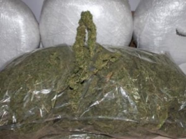 Manisa'da 37 Kilo Esrar Yakalandı 