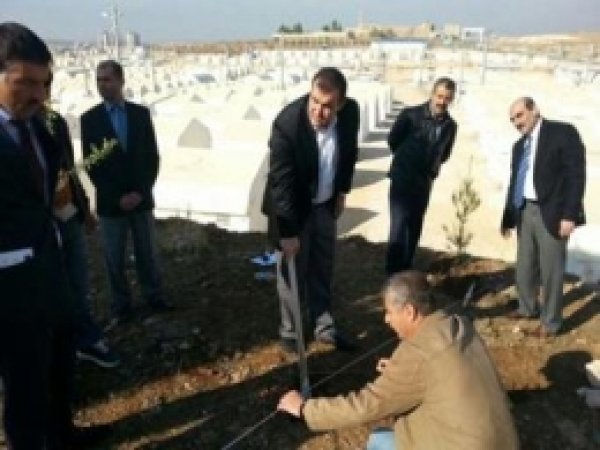 Mardin'de 10 Bin Fidan Toprakla Buluştu