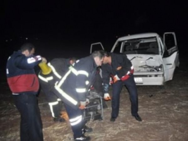 Seyir Halindeki Araç İneğe Çarptı:  3 Yaralı 