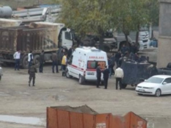 Cizre'deki Kavgada Bir Kişi Tutuklandı 