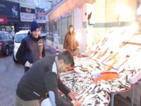 Balıkçılar Satışlardan Memnun 