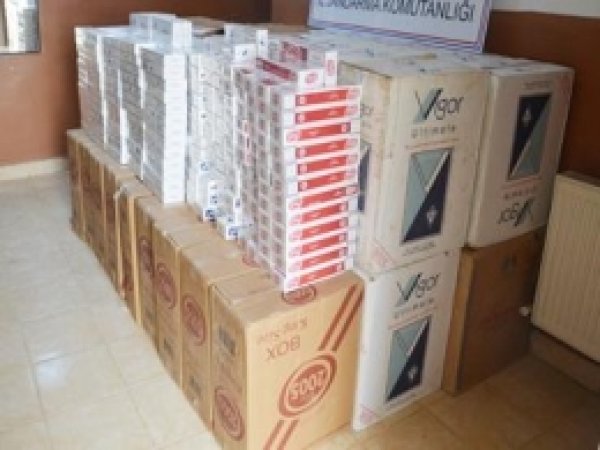 39 Bin Paket Kaçak Sigara Ele Geçirildi 