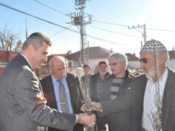 Manisalı Çiftçilere 3 Bin Adet Elma Fidanı Dağıtıldı 