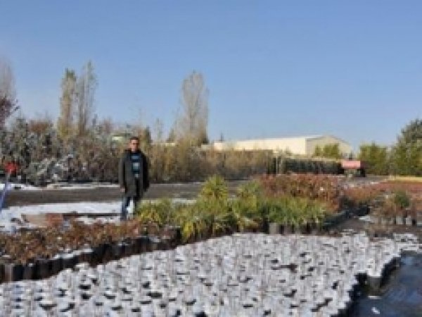 Selçuklu Üniversitesi Kendi Bitkisini Kendisi Üretiyor 