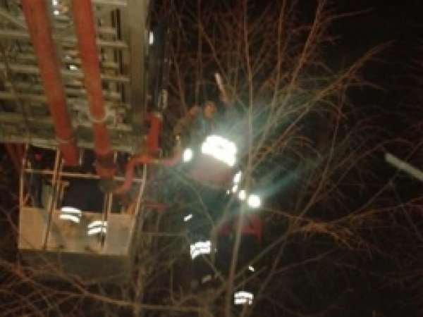 İşsizlikten Bunalan Gençten İlginç Eylem