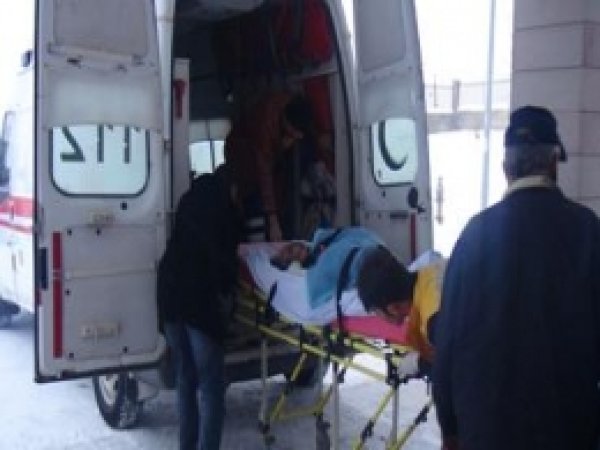 Aç Köpekler Yaşlı Kadına Saldırdı