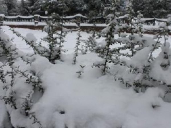 Diyarbakır'dan Kar Manzaraları 