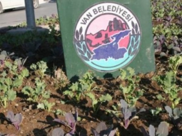 Belediyenin Seçim Yatırımı Kar Altında Kaldı  