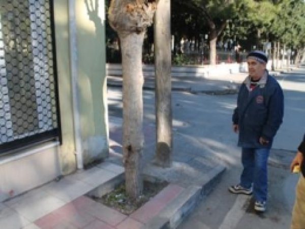 Kaldırımdaki Engeller, Engellilere Engel Oluyor 