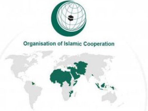  5. İslam Dünyası STK Konferansı İstanbul'da Başlıyor 