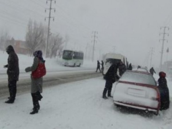 Bitlis'te Hayat Durma Noktasına Geldi  