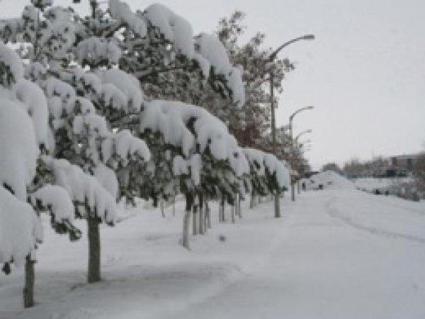 Dondurucu Soğuklar Hayatı Olumsuz Etkiliyor 
