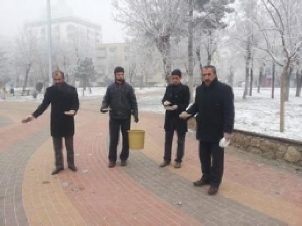 Batman'da Zor Durumdaki Hayvanlar İçin Seferberlik 