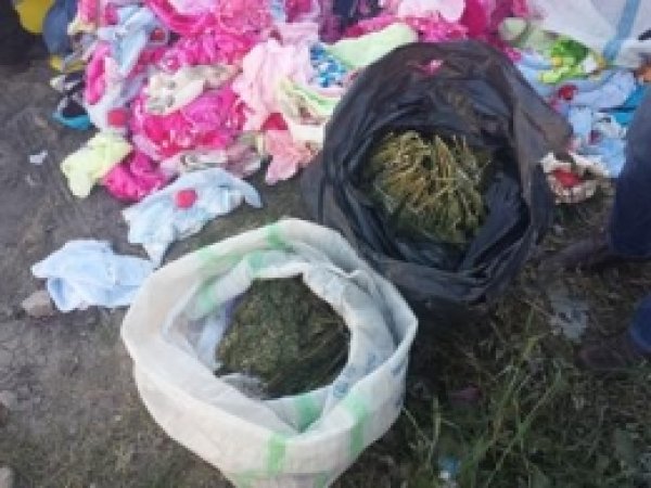 Tarsus'ta 18 Kilo Esrar Ele Geçirildi 