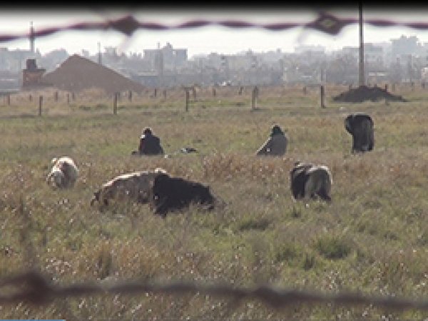 Mayınlı Sahada Namaz