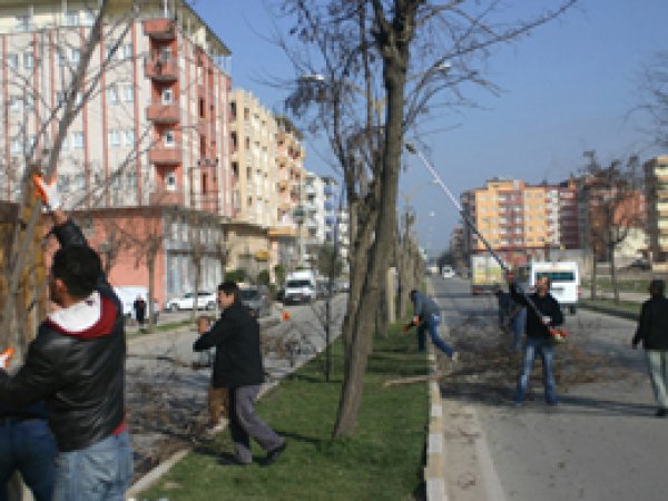 Batman'da Bahara Hazırlık