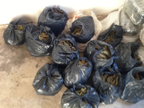 Bismil'de 53 Kilo Esrar Yakalandı