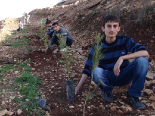 Siirt'te 'Kutlu Doğum Hatıra Ormanı'