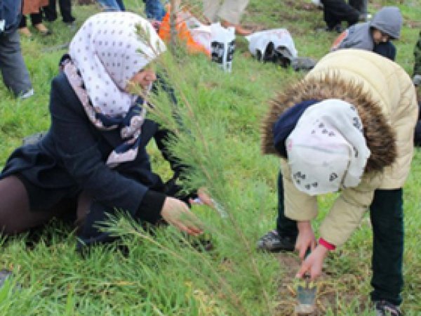 Dicle Üniversitesi Kampüsüne 10 Bin fFdan Dikildi