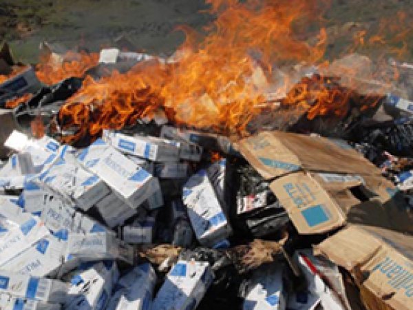 835 bin Paket Kaçak Sigara İmha Edildi